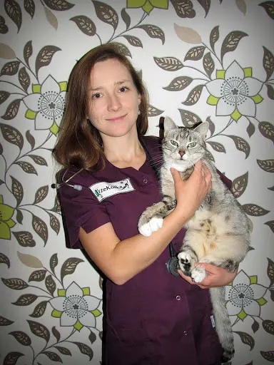 rzeKotka Przychodnia Weterynaryjna